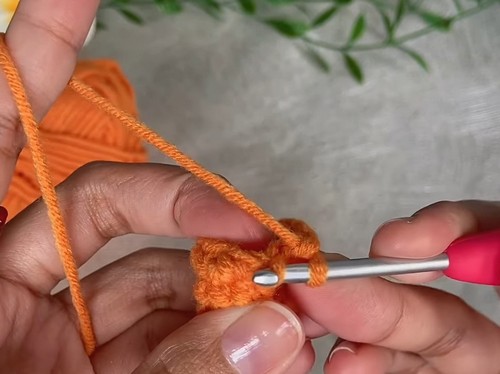 Crochet Crab Pouch bag pattern 1