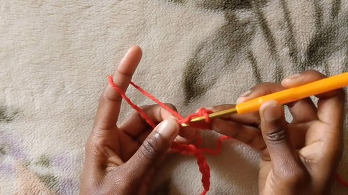 Crochet Lemon Peel Stitch Pattern 1