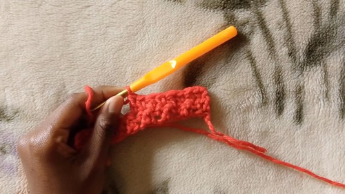 Crochet Lemon Peel Stitch Pattern 2