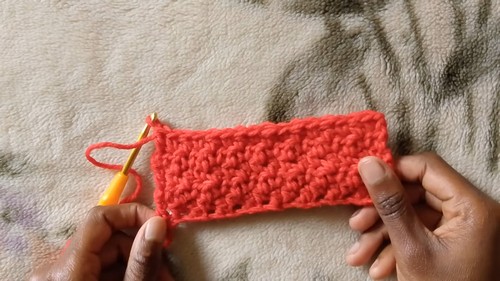 Crochet Lemon Peel Stitch Pattern 4