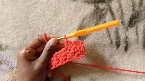 Crochet Lemon Peel Stitch Pattern 3
