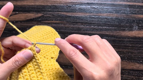 Easy Crochet Mobile Bag pattern 1