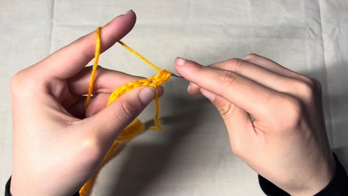 Easy Crochet Flower Halter Top pattern 1