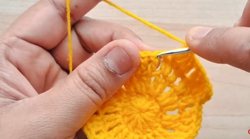 Easy Crochet Flower Blanket pattern 1