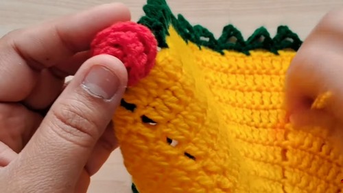 Easy Crochet Flower Blanket pattern 4