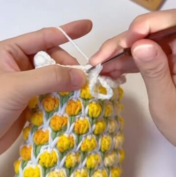 Crochet Phone Bag 4