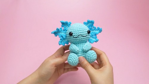 Crochet Axolotl Plushie 5