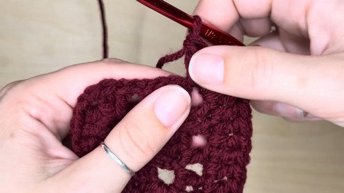 Crochet Simple Purse 1