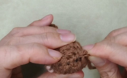 Crochet Guinea Pig 2