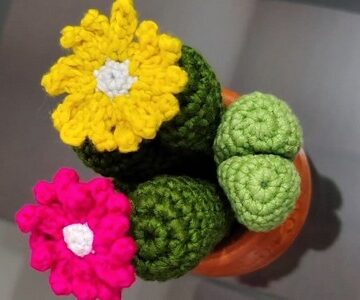 Crochet Cactus Amigurumi 4