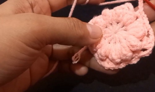 Crochet Prettiest Top 1