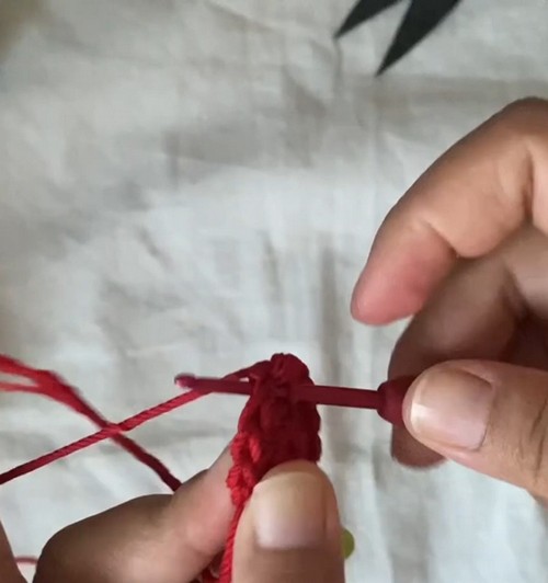 Crochet Tomato Key Cover 1