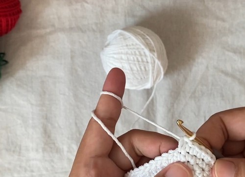 Crochet Tomato Glasses Case 2