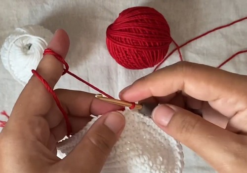 Crochet Tomato Glasses Case 3