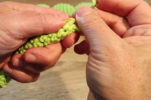 Crochet Caterpillar Amigurumi 4