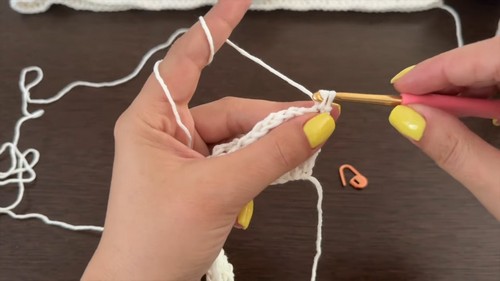 Crochet Lace Bolero Tee 2