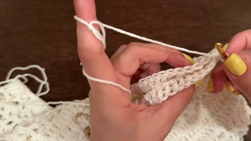 Crochet Lace Bolero Tee 4