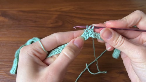 Crochet Wrap Skirt 2