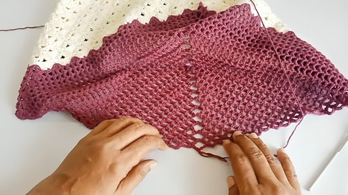 Crochet Crop Top 4