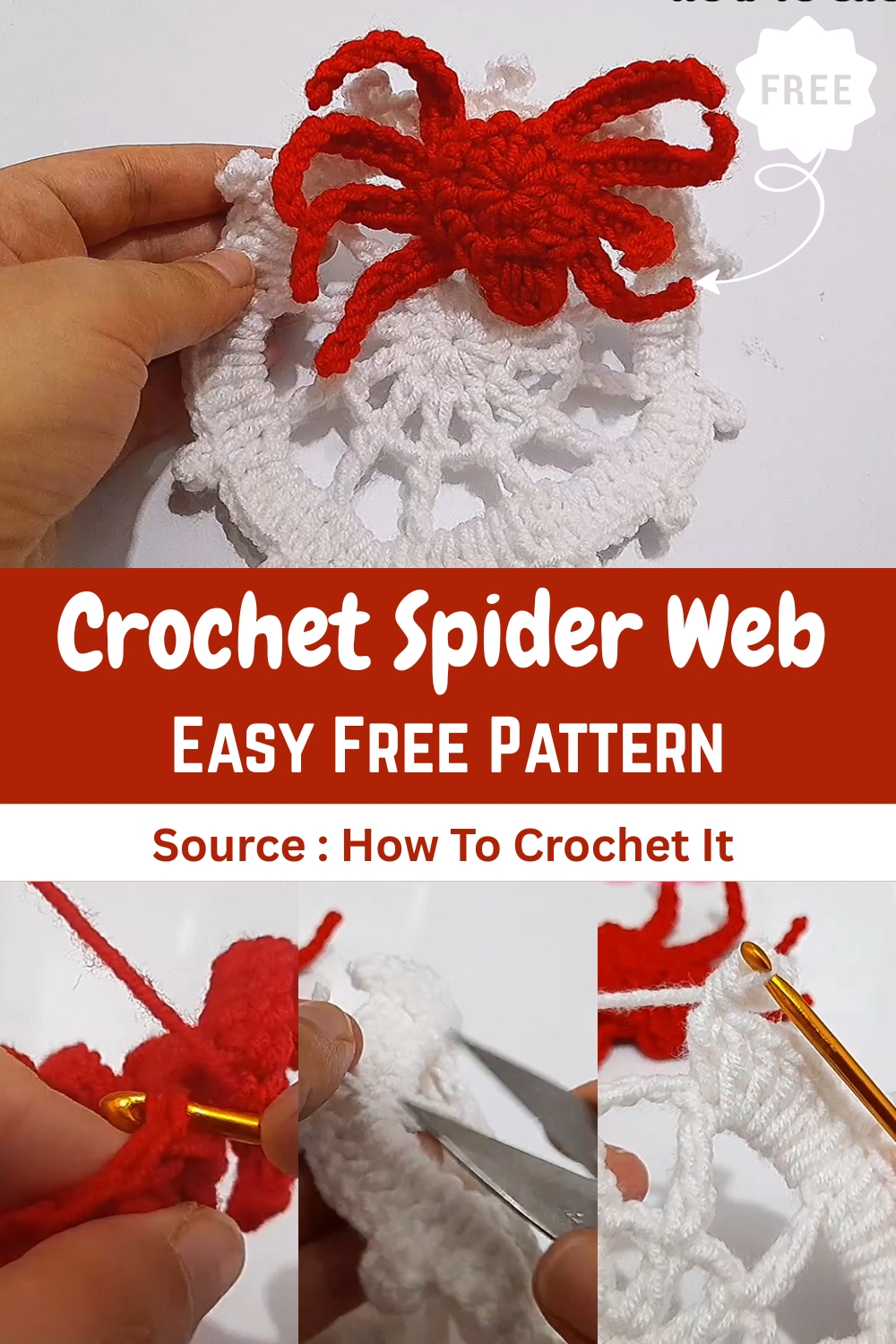 Crochet Spider Web
