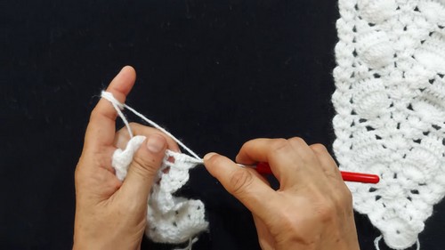 Crochet Stylish Jacket 2