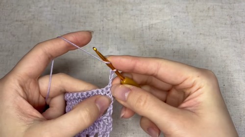 Crochet Stylish Cardigan 1