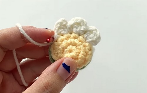 Crochet Beautiful Flower 1