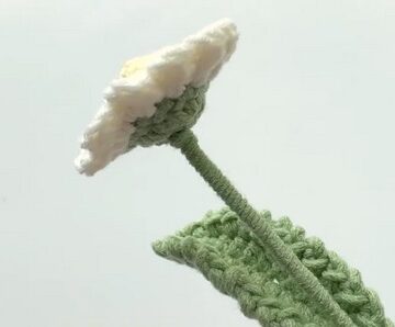 Crochet Beautiful Flower 4