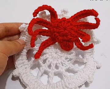 Crochet Spider Web 4