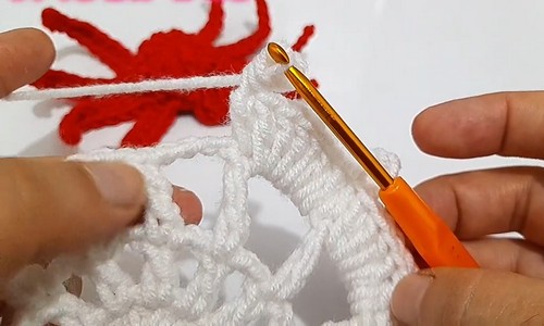 Crochet Spider Web 3