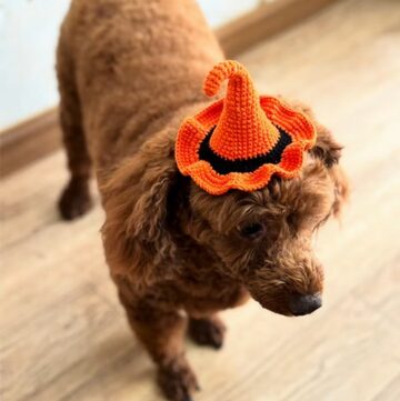 Unique Simple Crochet Witch Hat 4