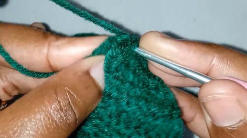 Crochet Stylish Skirt 1