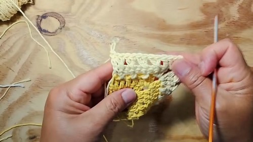 Crochet Top Blouse 1