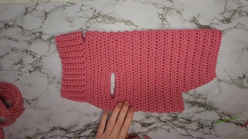 Crochet HDC Dog Sweater 3