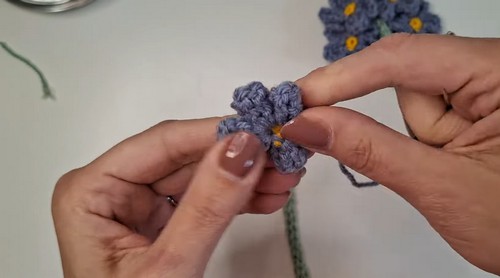 Crochet Forget-Me-Not Flowers 2