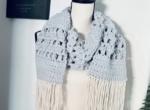 Crochet Cozy Scarf 4