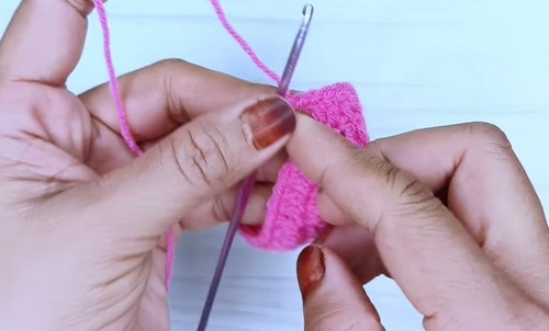 Crochet Seamless Socks 1