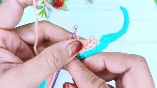 Crochet Cozy Socks 1