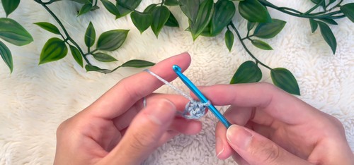 Crochet Long Sleeve Cardigan 1