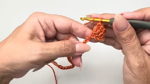 Crochet Cozy Autumn Sweater 1