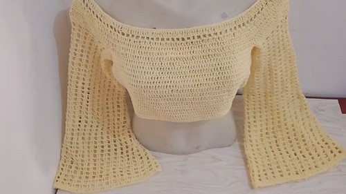 How To CROCHET Cropped Top Easy Free Pattern 2