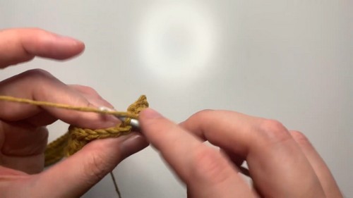 HOW TO Crochet Ribbed Tube Top easy free pattern 2